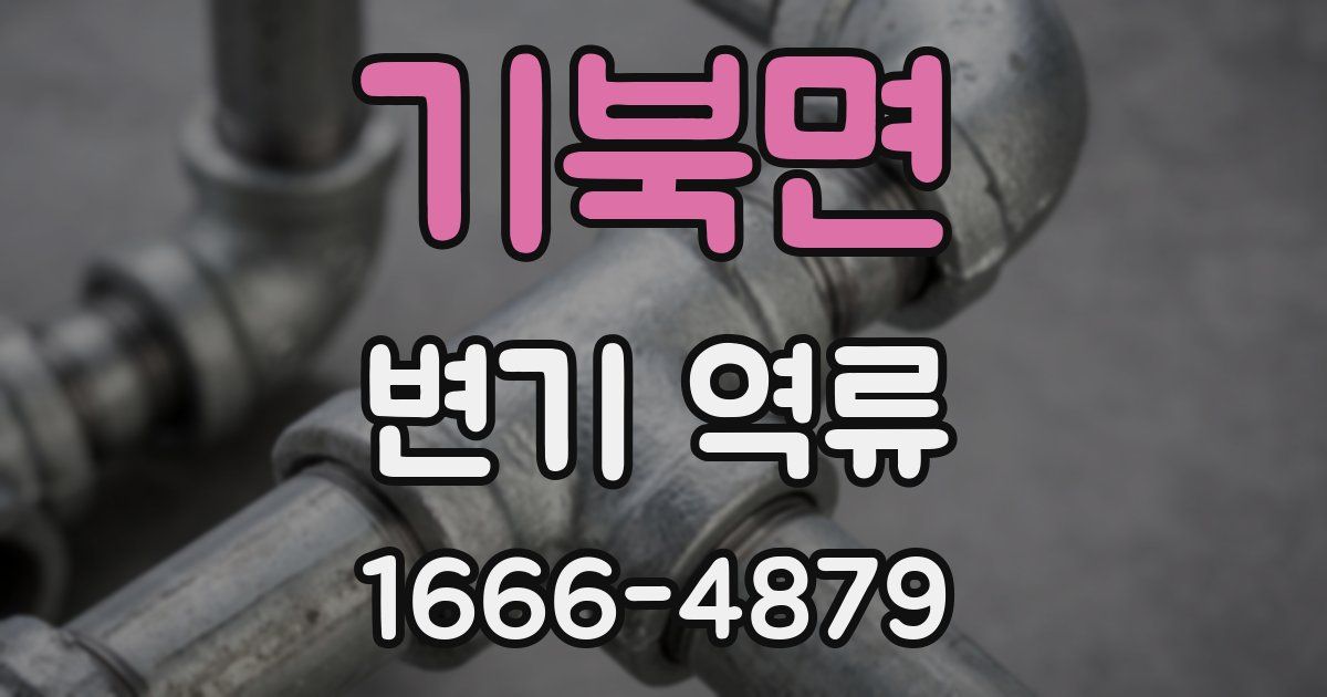 기북면 변기 역류