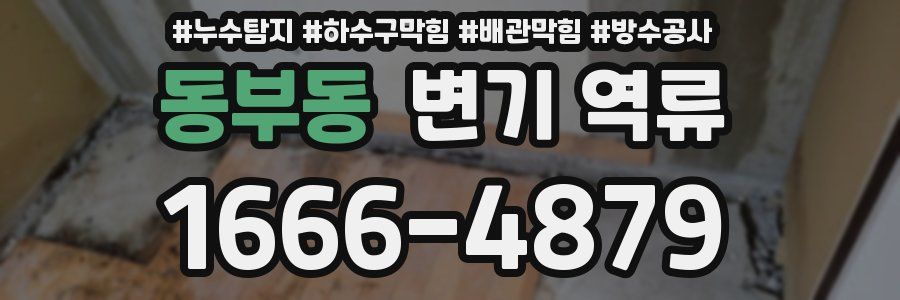 동부동 변기 역류