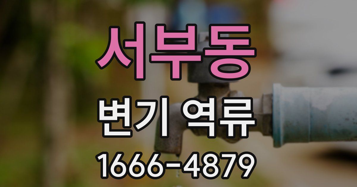 서부동 변기 역류