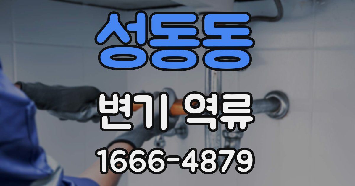 성동동 변기 역류