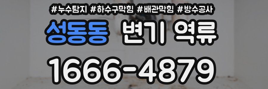 성동동 변기 역류