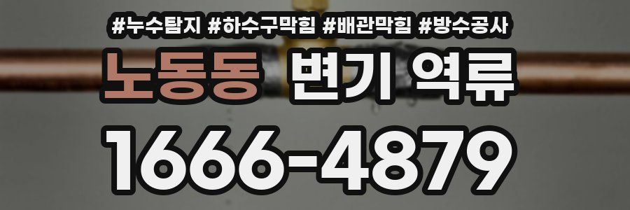 노동동 변기 역류