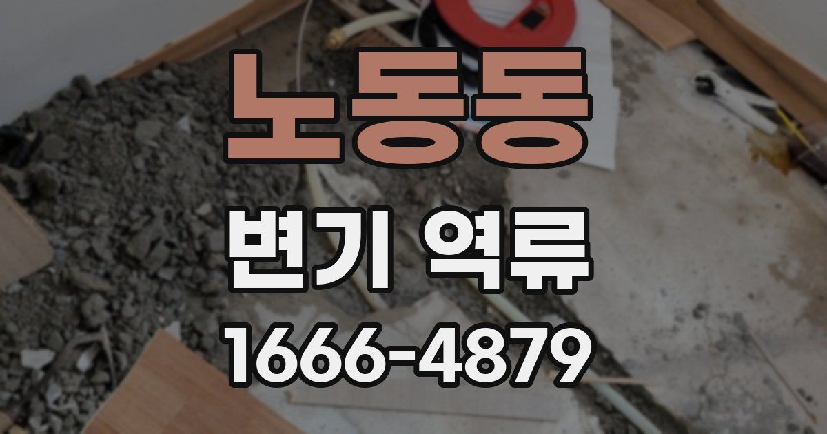 노동동 변기 역류