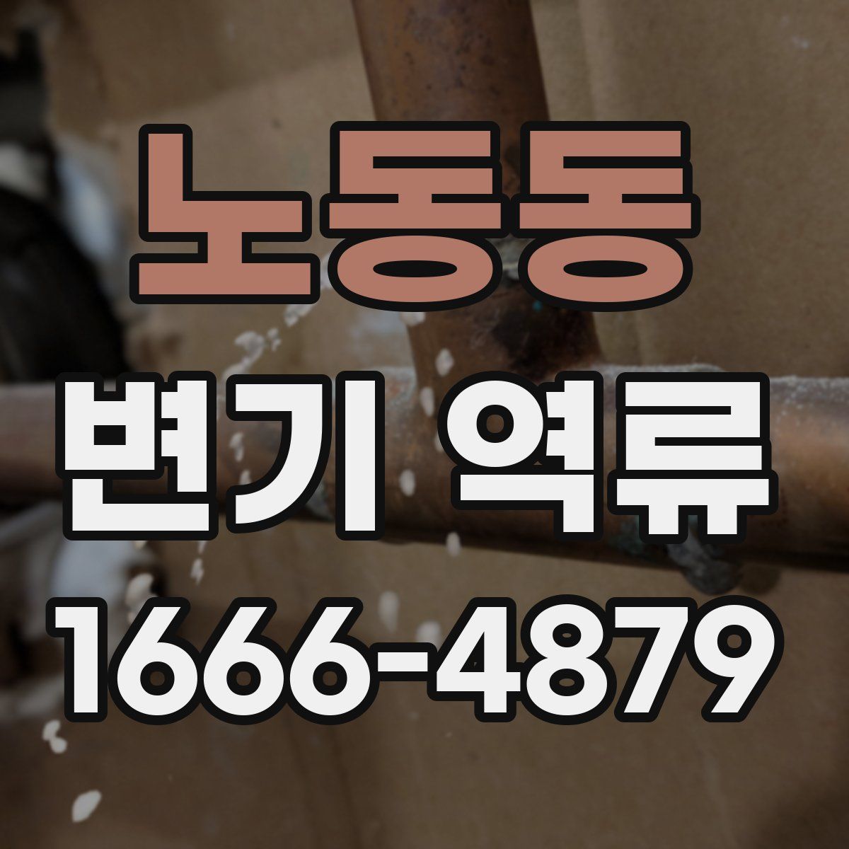 노동동 변기 역류