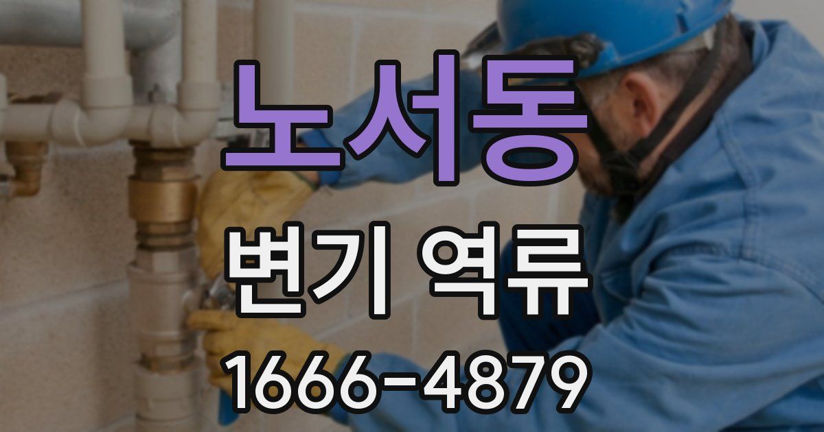 노서동 변기 역류