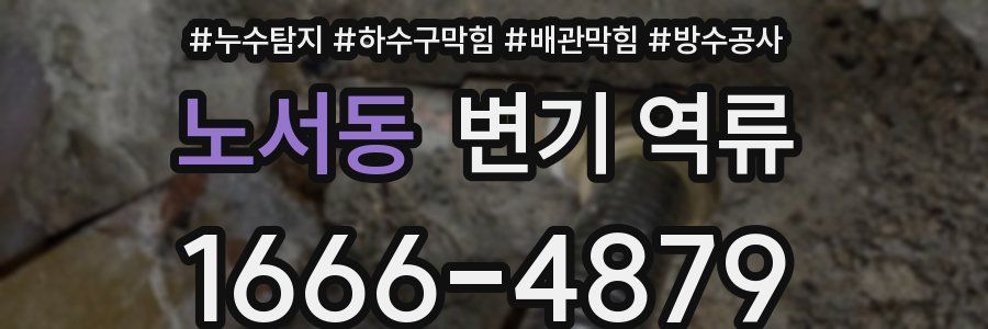 노서동 변기 역류