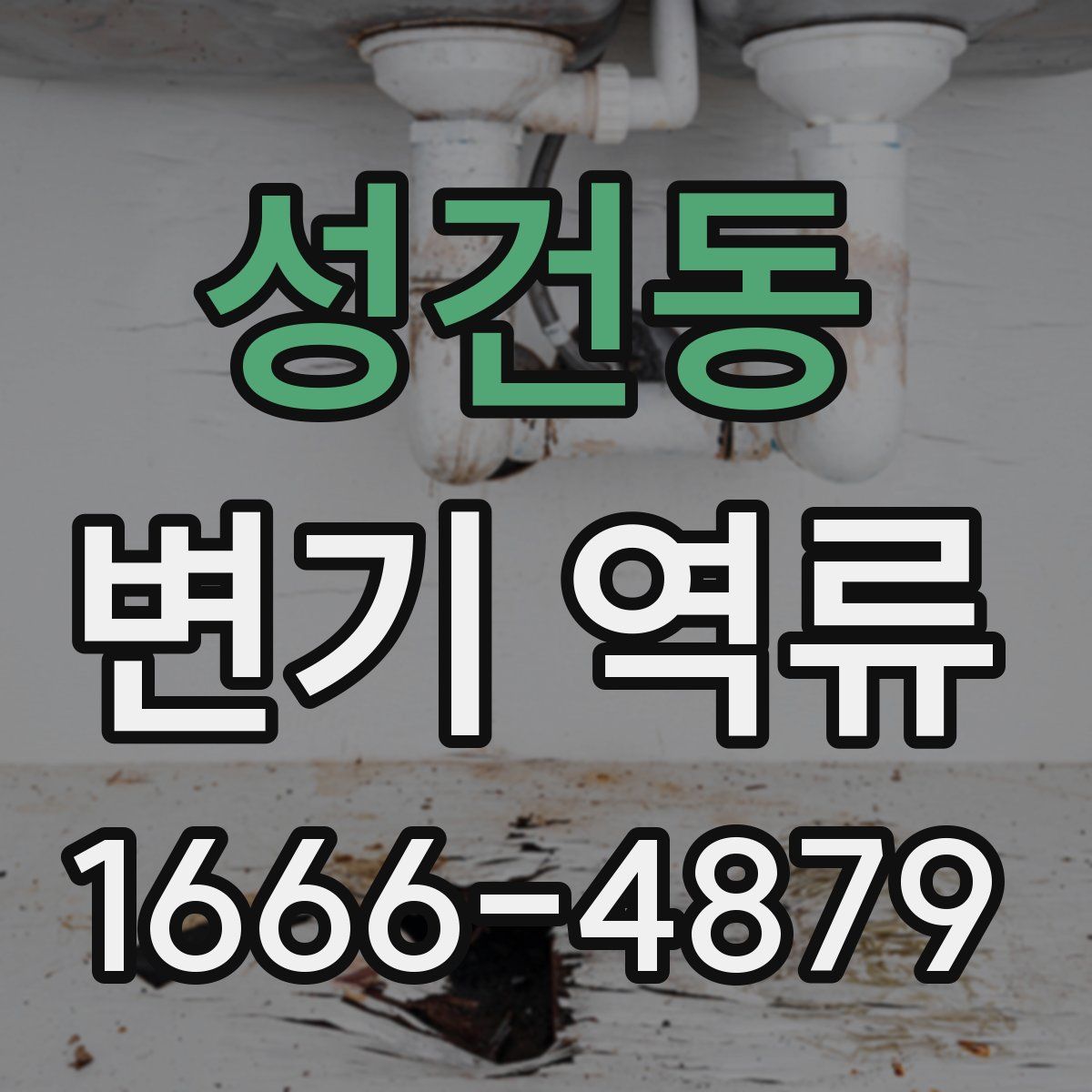 성건동 변기 역류