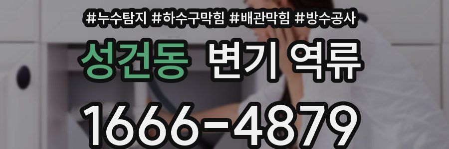 성건동 변기 역류
