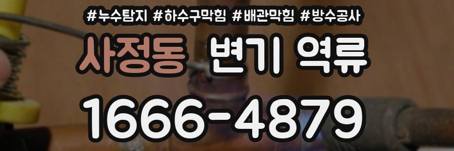 사정동 변기 역류