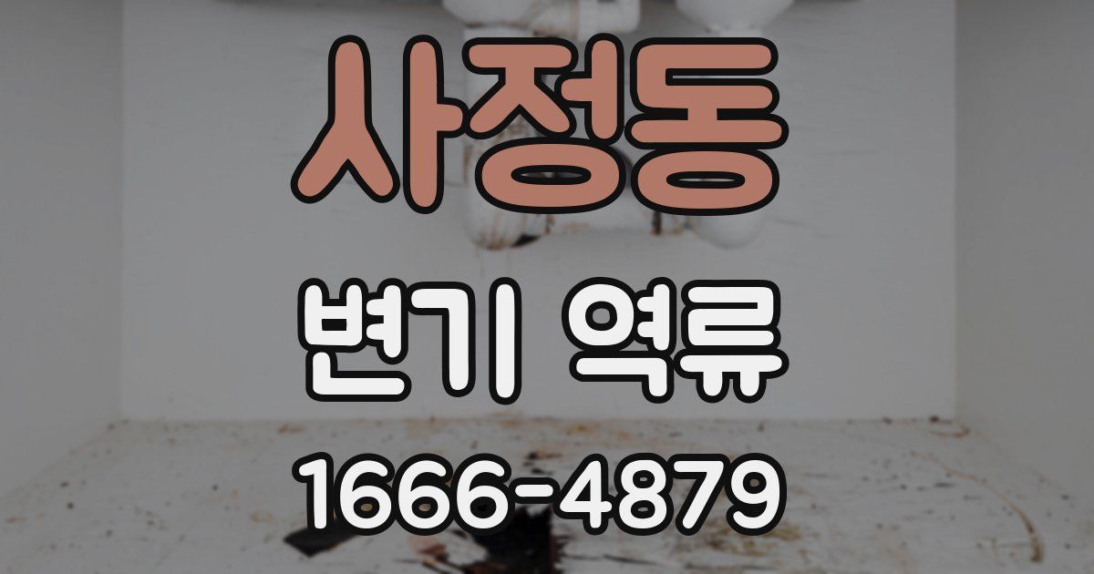 사정동 변기 역류