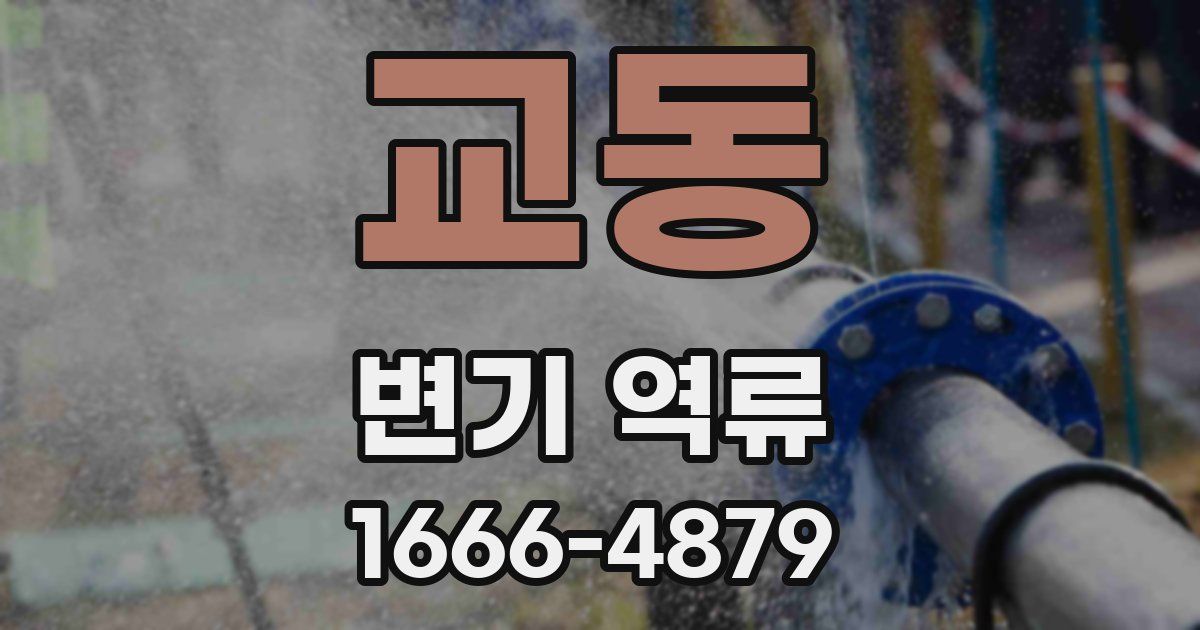 교동 변기 역류