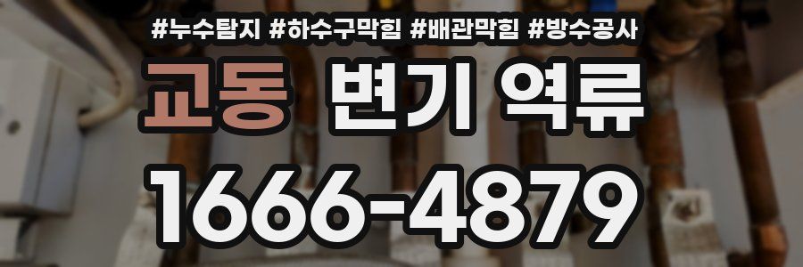 교동 변기 역류