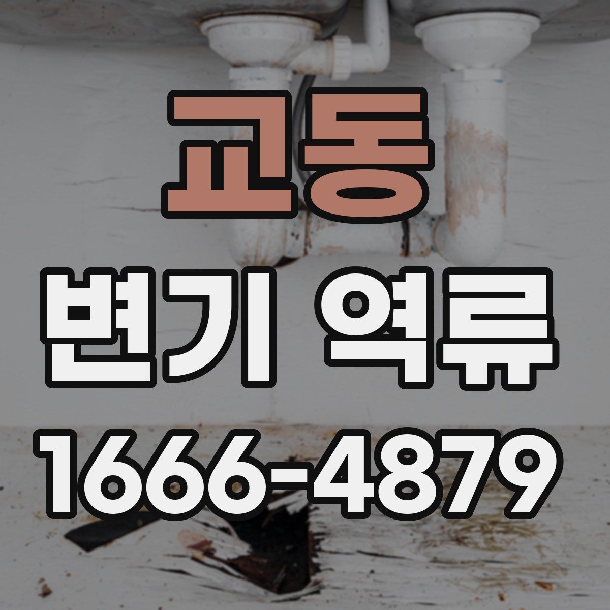 교동 변기 역류