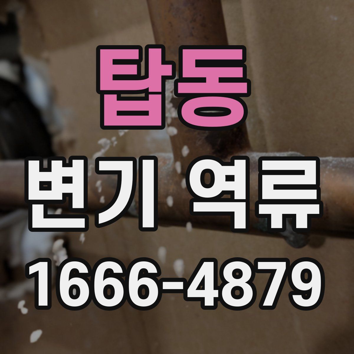 탑동 변기 역류