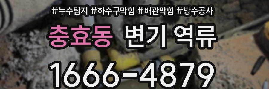 충효동 변기 역류