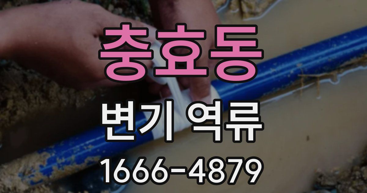충효동 변기 역류