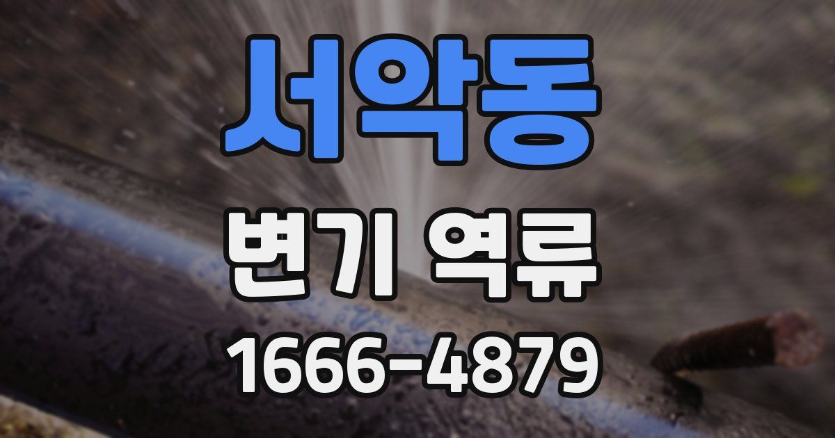 서악동 변기 역류