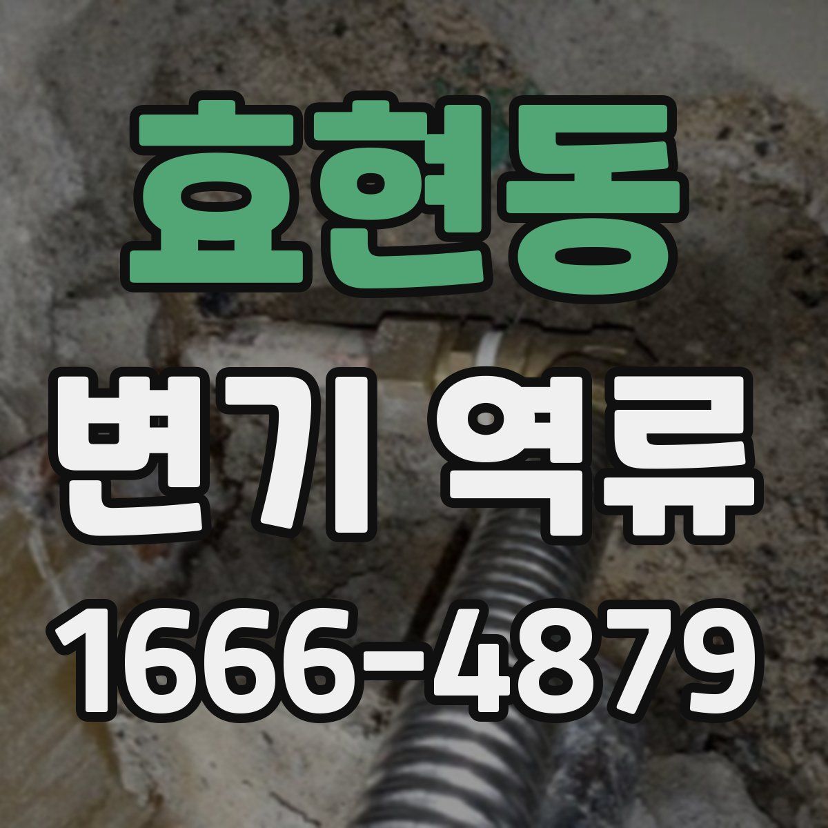 효현동 변기 역류