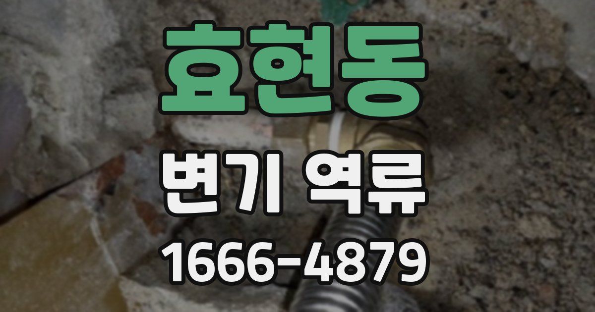 효현동 변기 역류