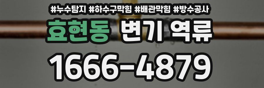 효현동 변기 역류