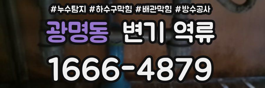 광명동 변기 역류