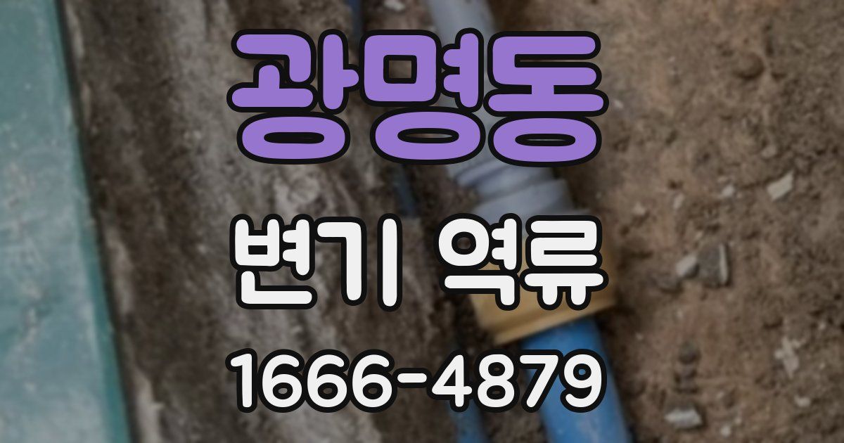 광명동 변기 역류