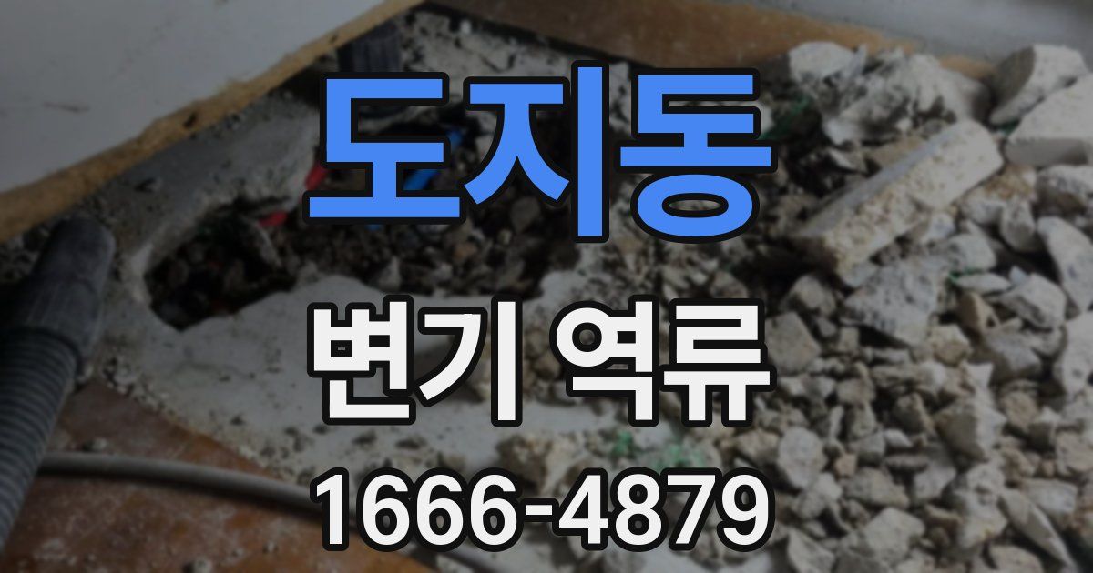 도지동 변기 역류