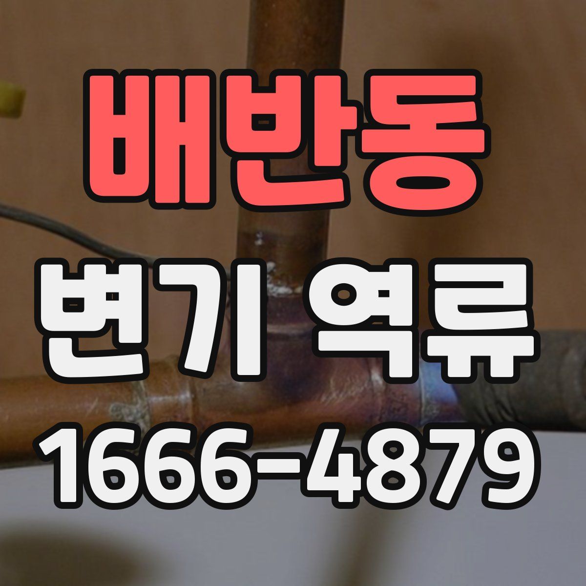 배반동 변기 역류
