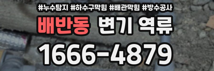 배반동 변기 역류
