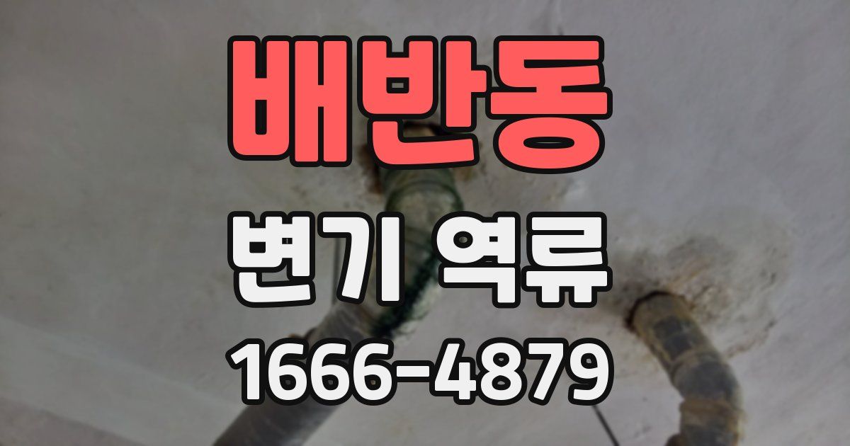 배반동 변기 역류