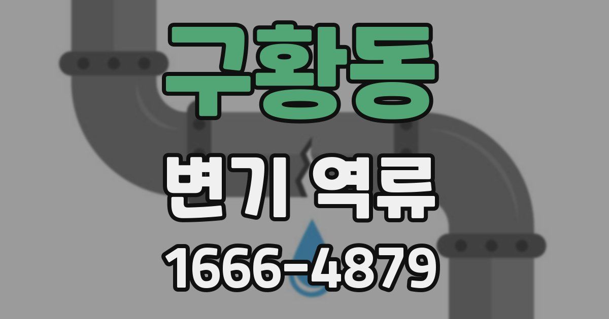 구황동 변기 역류