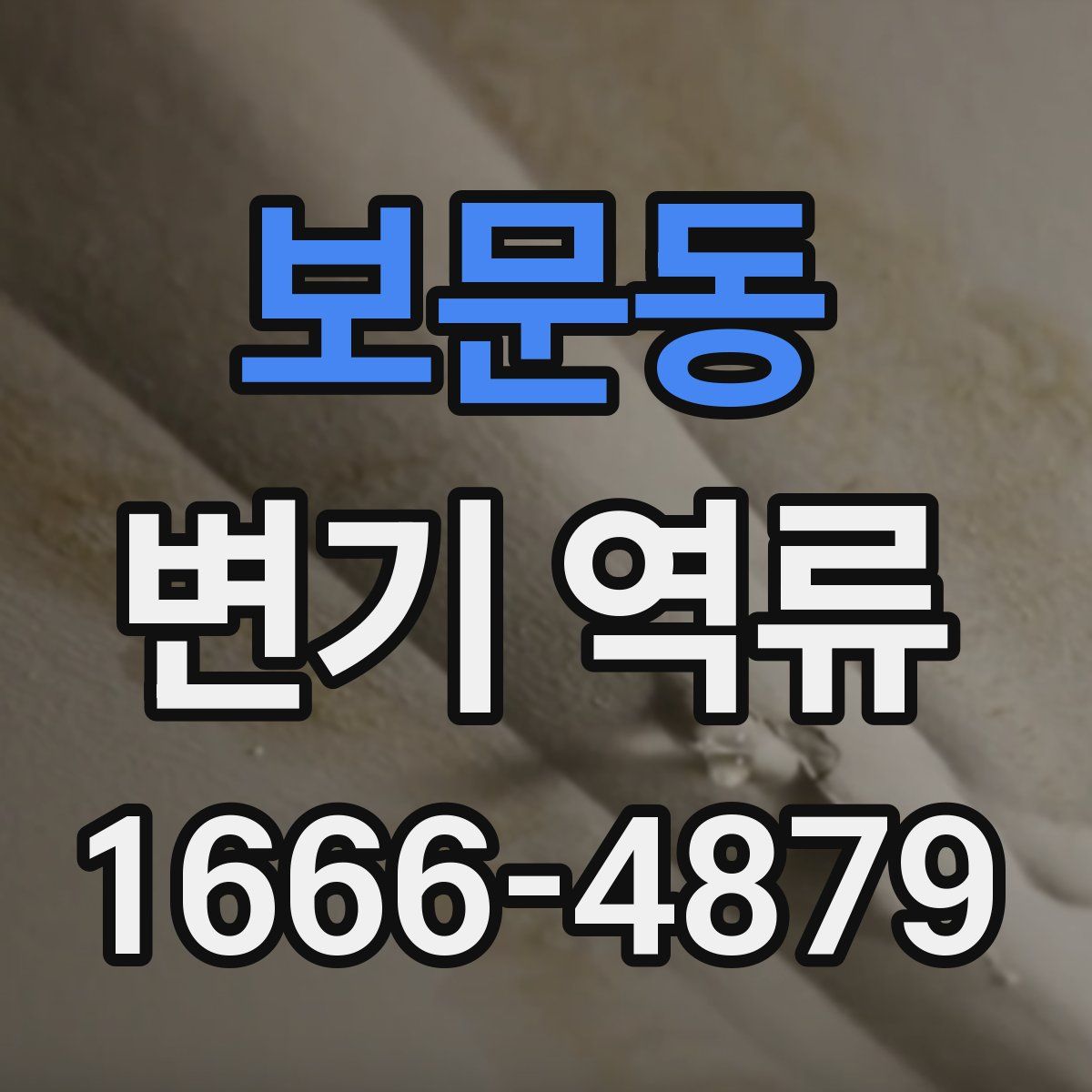 보문동 변기 역류