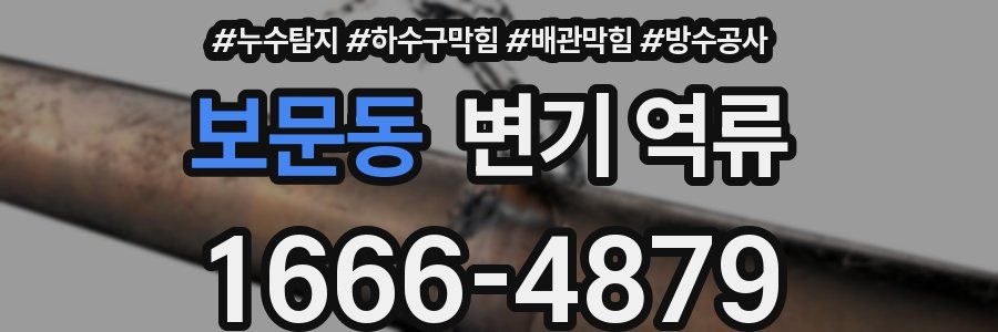 보문동 변기 역류