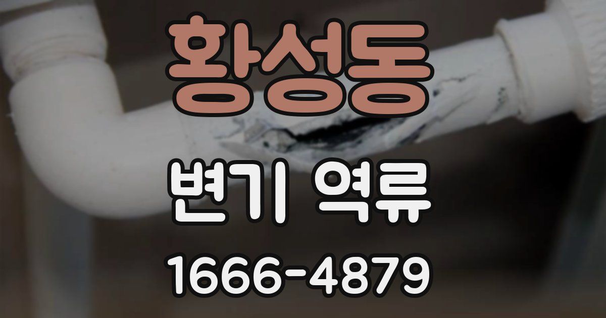 황성동 변기 역류