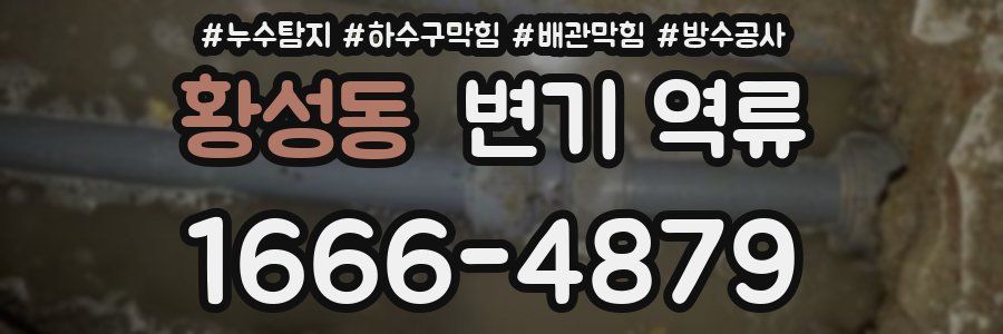 황성동 변기 역류