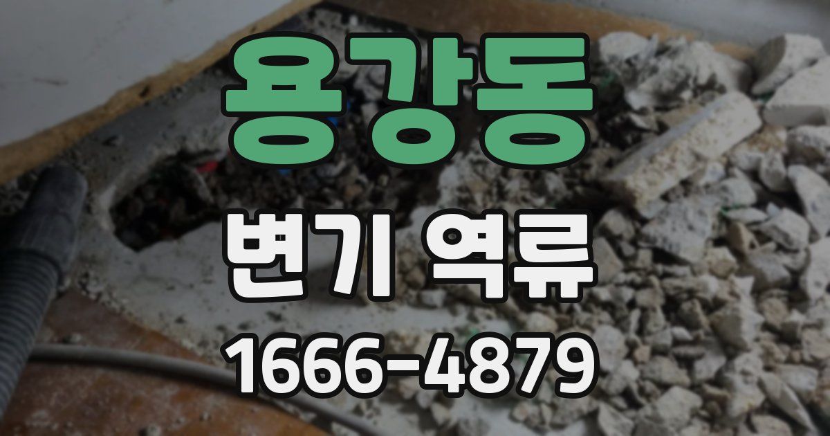 용강동 변기 역류