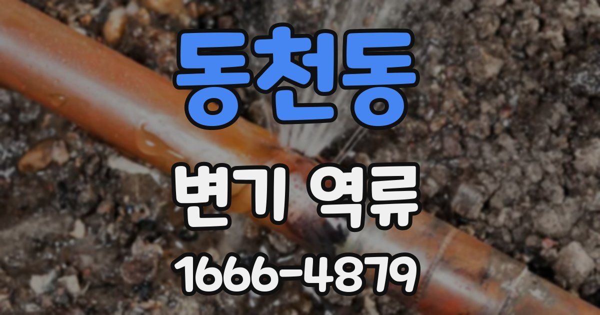 동천동 변기 역류