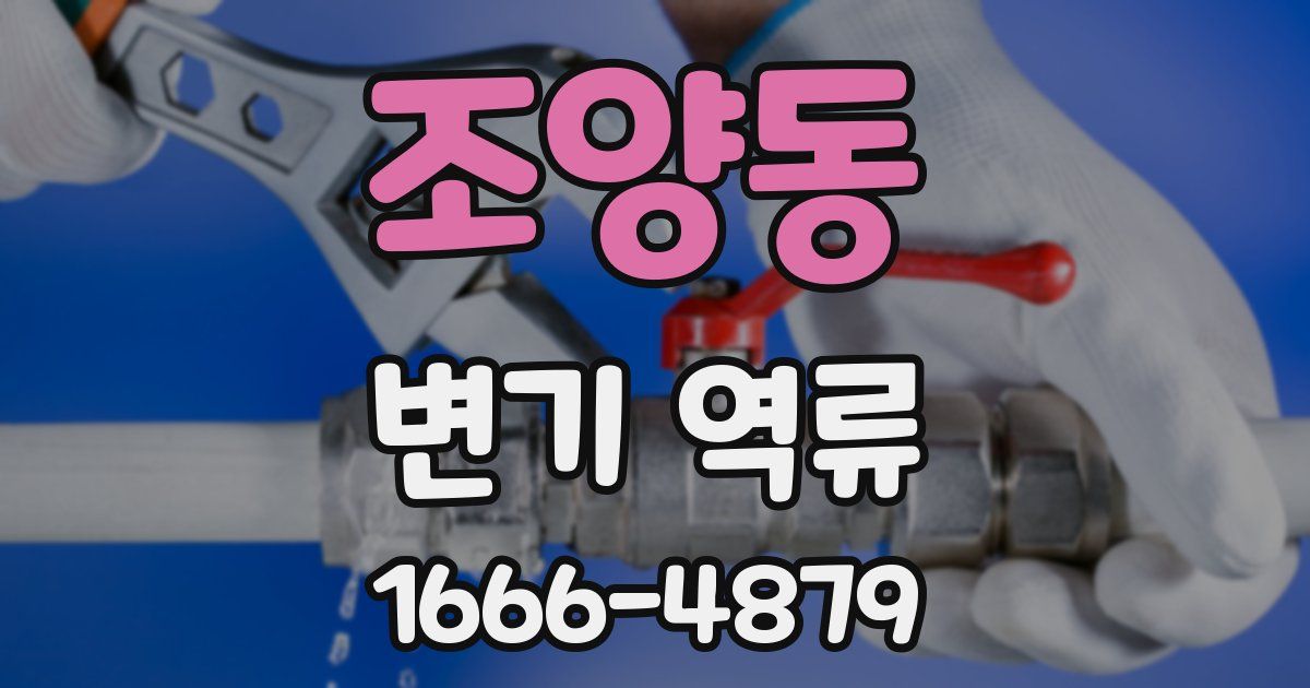 조양동 변기 역류