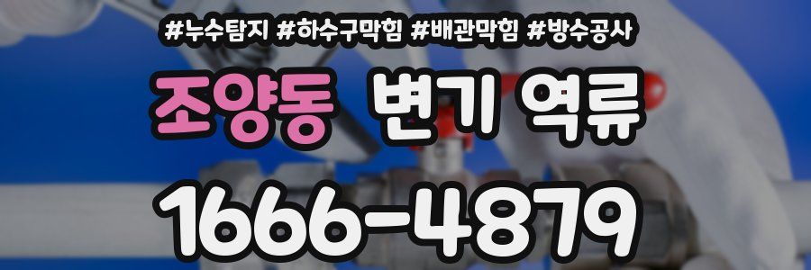 조양동 변기 역류