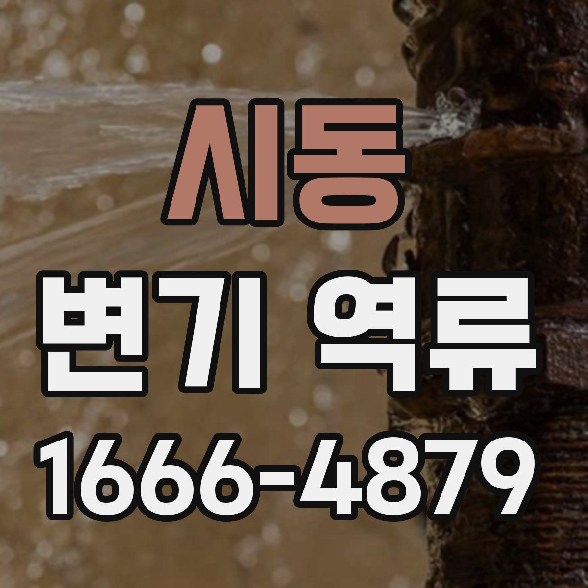 시동 변기 역류