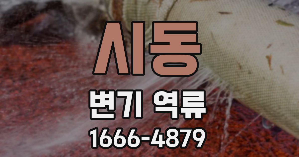 시동 변기 역류