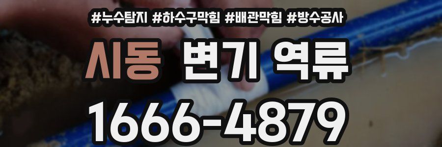 시동 변기 역류