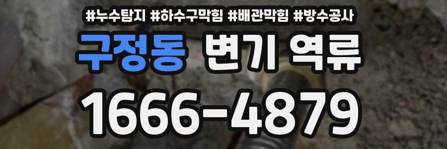구정동 변기 역류