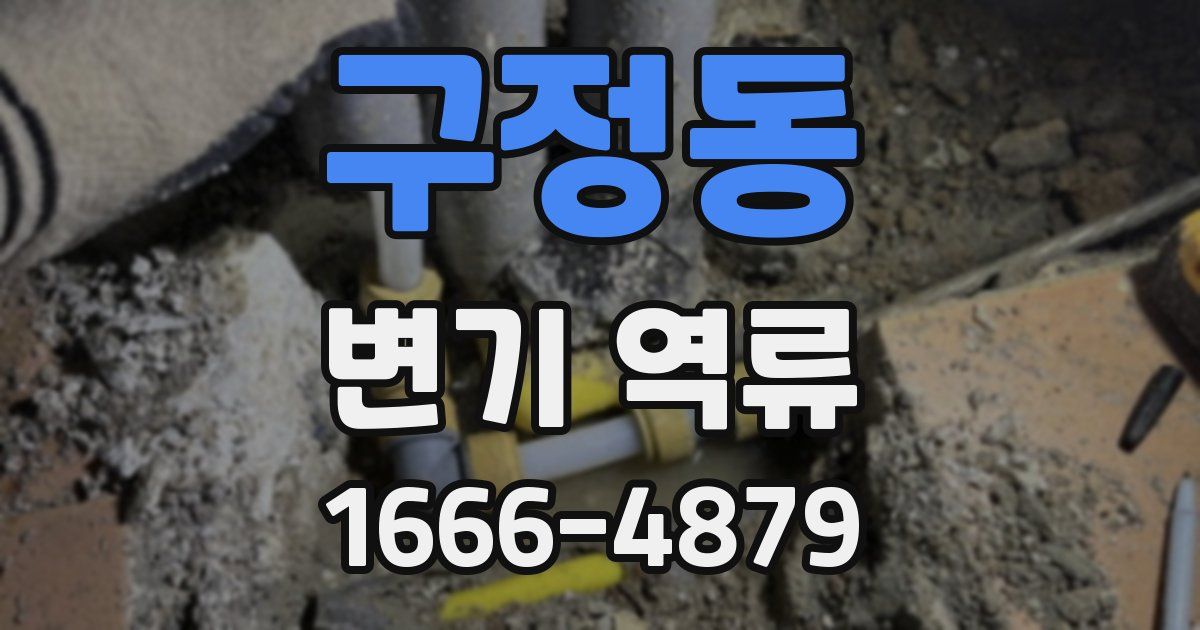 구정동 변기 역류