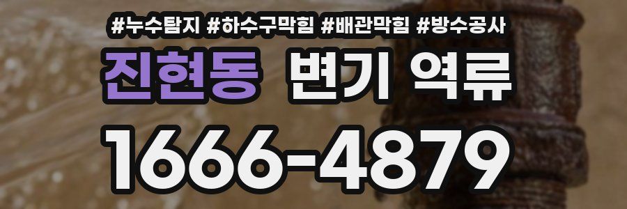 진현동 변기 역류