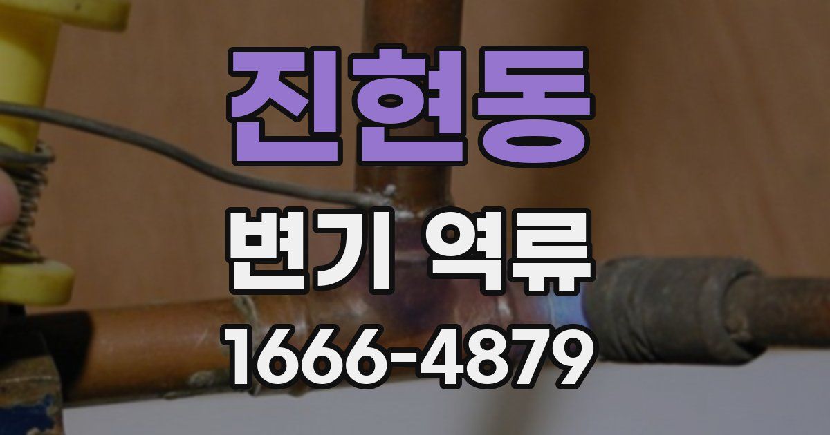 진현동 변기 역류