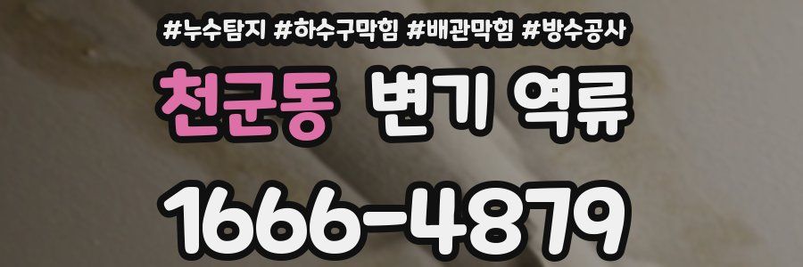 천군동 변기 역류