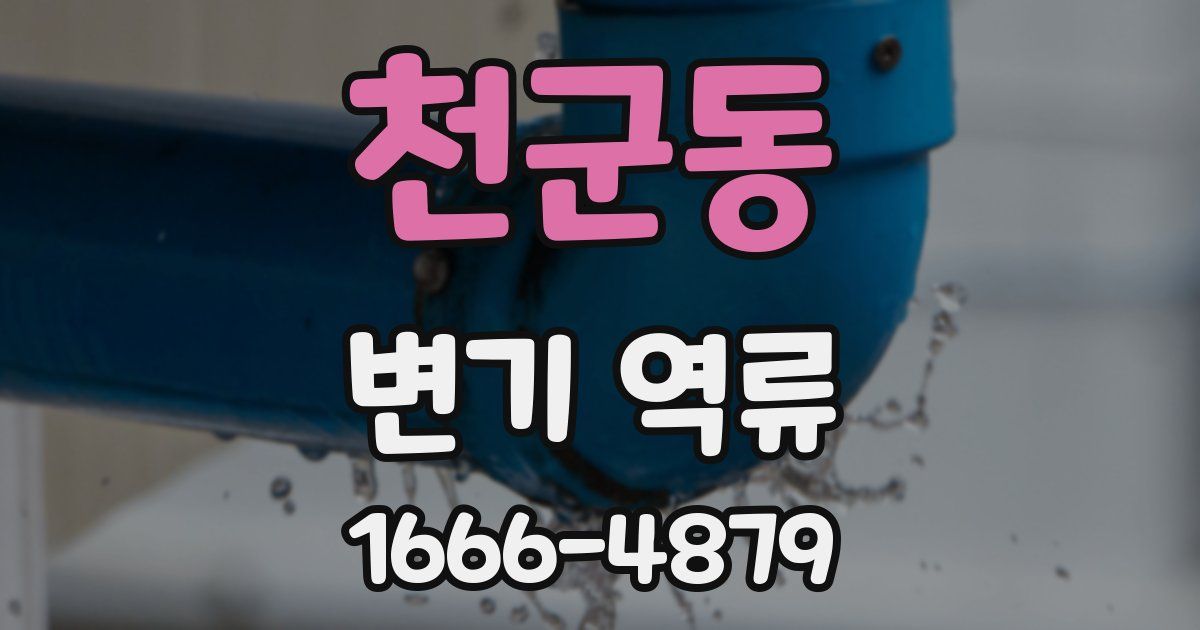 천군동 변기 역류