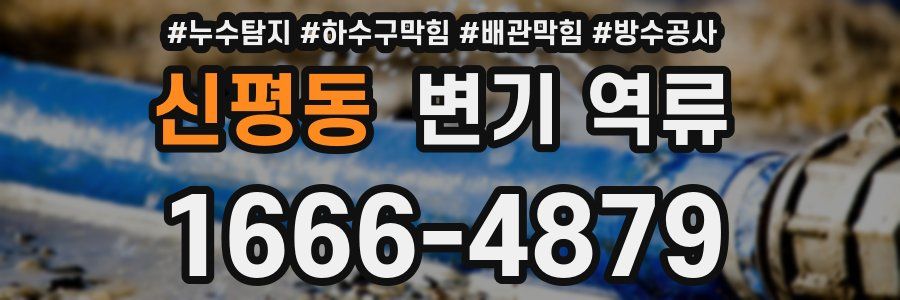 신평동 변기 역류