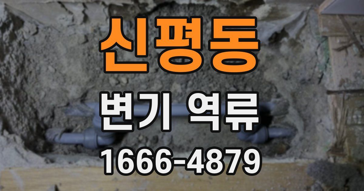 신평동 변기 역류